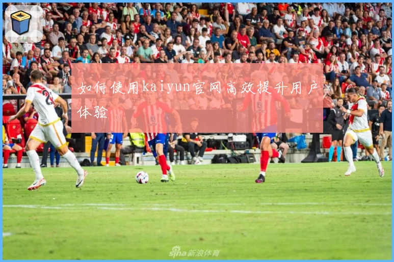 如何使用kaiyun官网高效提升用户体验