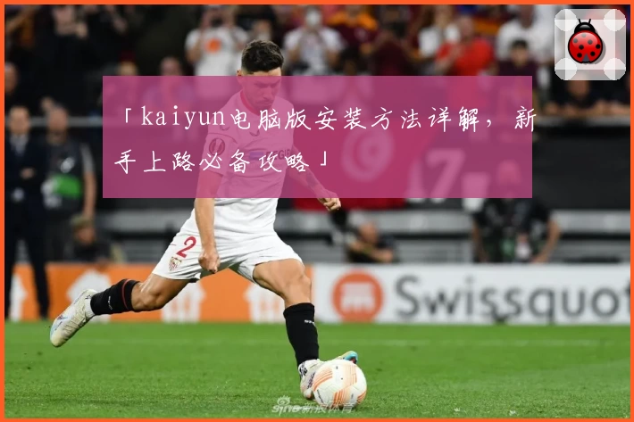 「kaiyun电脑版安装方法详解，新手上路必备攻略」
