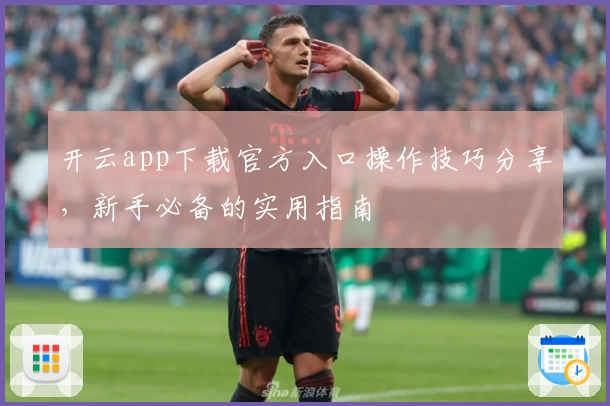 开云app下载官方入口操作技巧分享，新手必备的实用指南